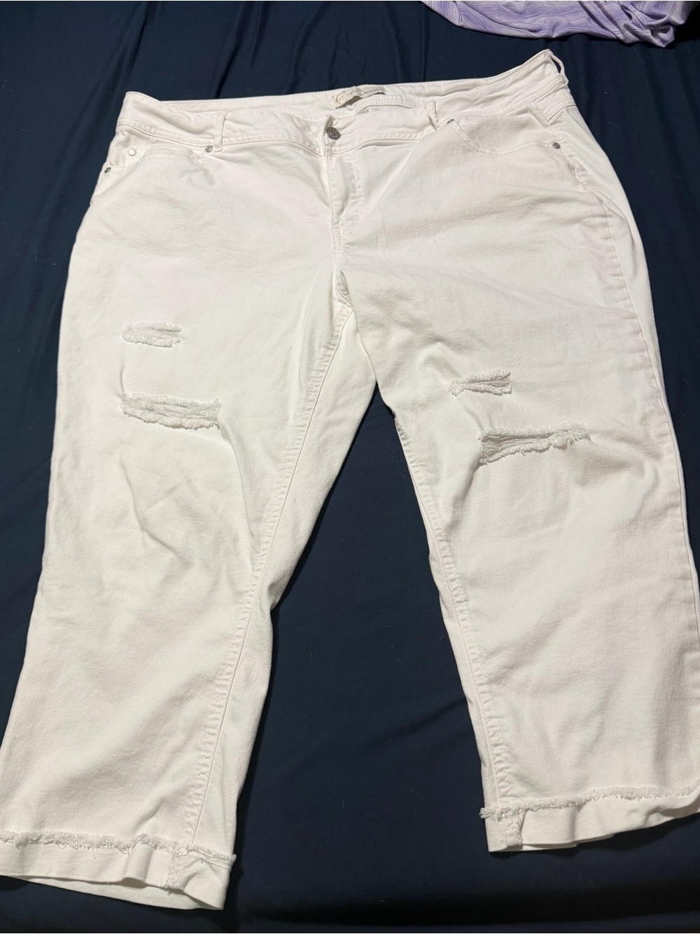 EST. 1948 Denim White Curvy Capris (20W)